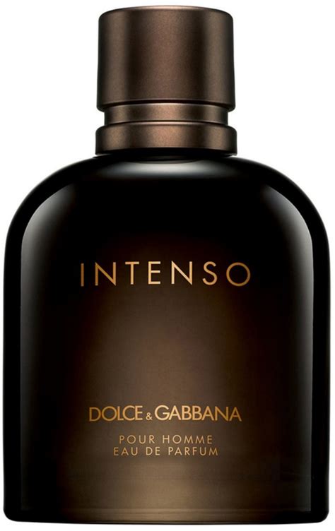 dolce gabbana herren sale